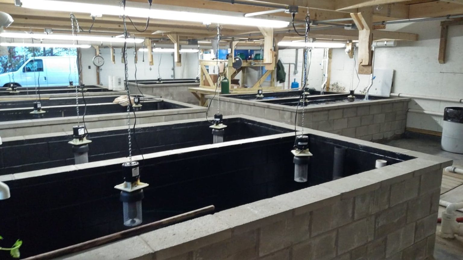 About Us Hog Island Wholesale Bait